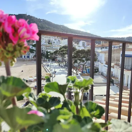 Platja - Penthouse On Passeig Del Mar. Apartment *