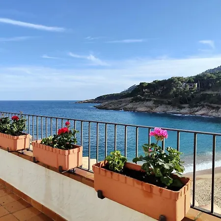 Apartment Platja - Penthouse On Passeig Del Mar. *