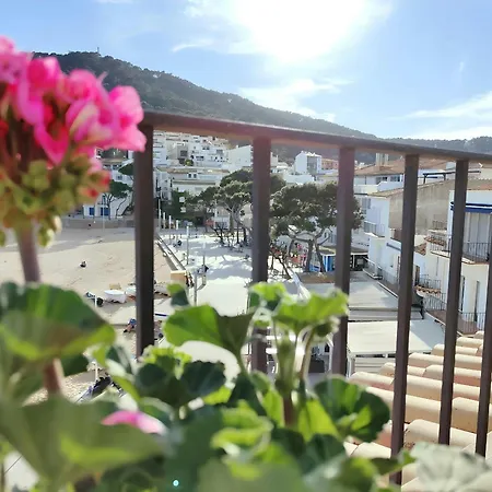 Apartment Platja - Penthouse On Passeig Del Mar.