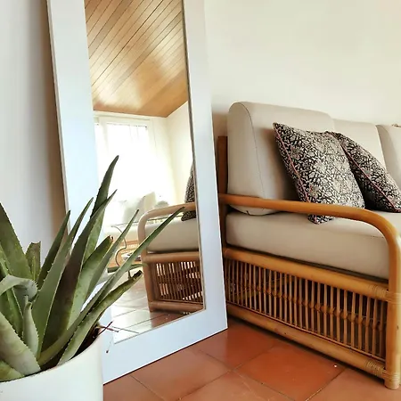 Platja - Penthouse On Passeig Del Mar. Tamariu
