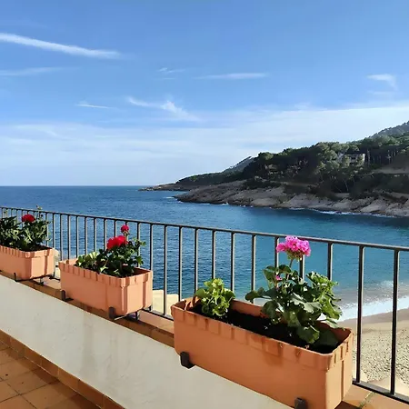 Platja - Penthouse On Passeig Del Mar.